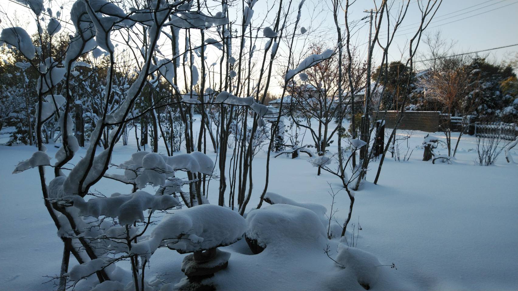 �߉ώsnmo�E�H�����|